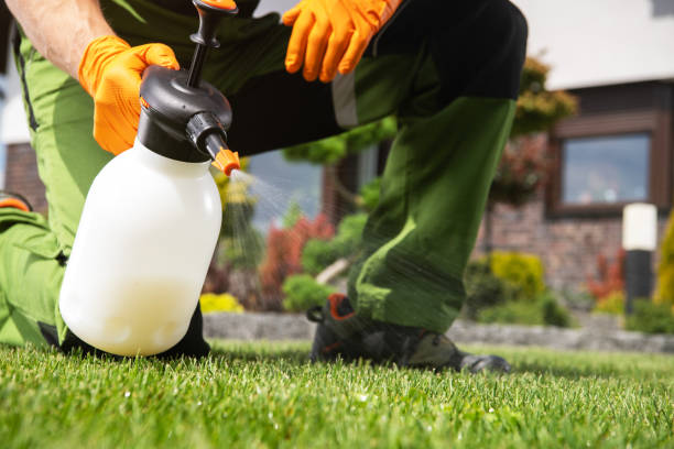 Best Bed Bug Extermination  in Woodstock, IL