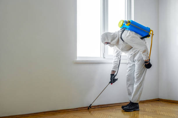 Best Pest Prevention Services  in Woodstock, IL