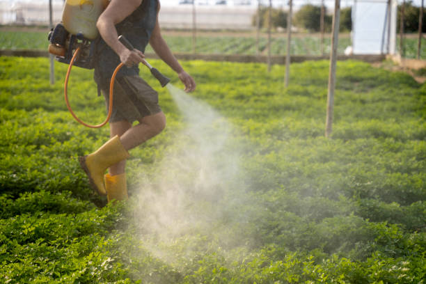 Best Best Pest Control Companies  in Woodstock, IL