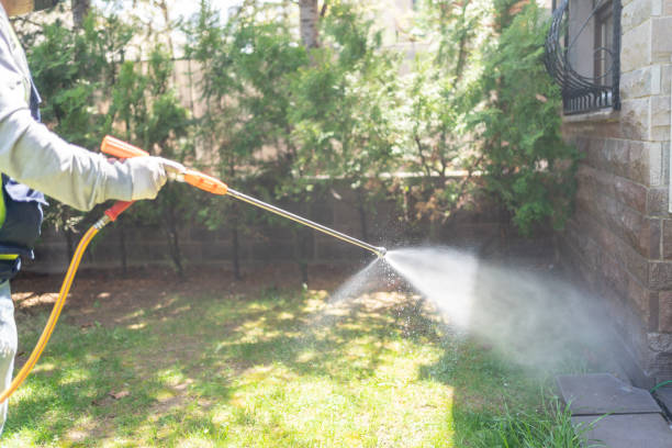 Best Flea Control Services  in Woodstock, IL