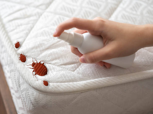 Insect Control in Woodstock, IL