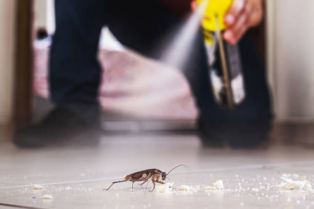 Best Pest Removal Services  in Woodstock, IL